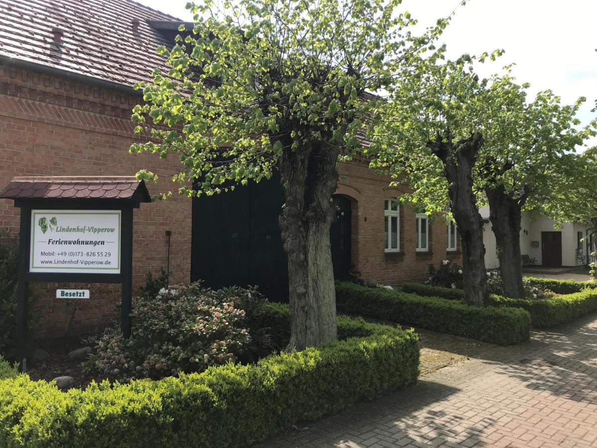 Lindenhof, Wohnung 1, Giebel Vipperow 外观 照片